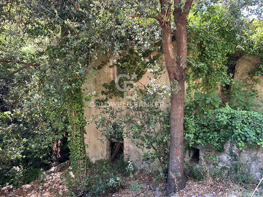 Immagine 7 di Rustico / casale in vendita  in Via Pian di Mezzo a Campo Nell'elba