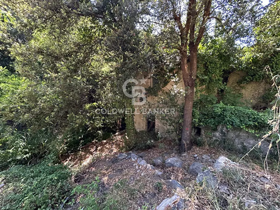 Immagine 8 di Rustico / casale in vendita  in Via Pian di Mezzo a Campo Nell'elba