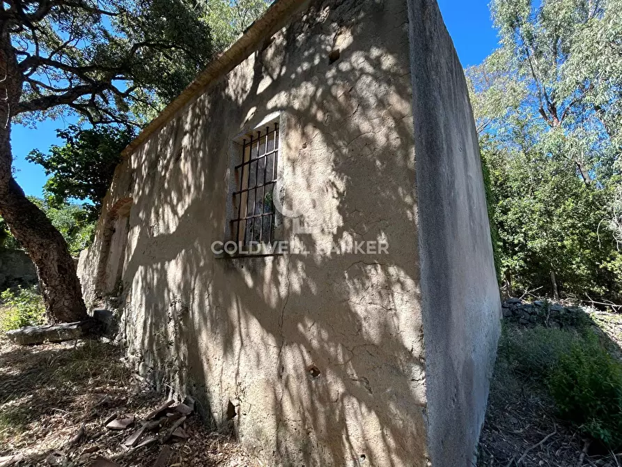 Immagine 9 di Rustico / casale in vendita  in Via Pian di Mezzo a Campo Nell'elba