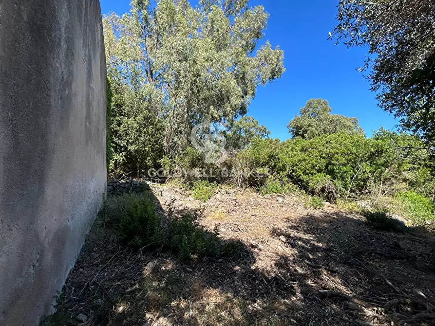 Immagine 10 di Rustico / casale in vendita  in Via Pian di Mezzo a Campo Nell'elba