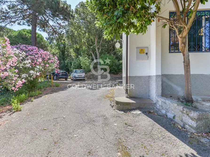 Immagine 20 di Villa in vendita  in Via della Cicala a Marciana