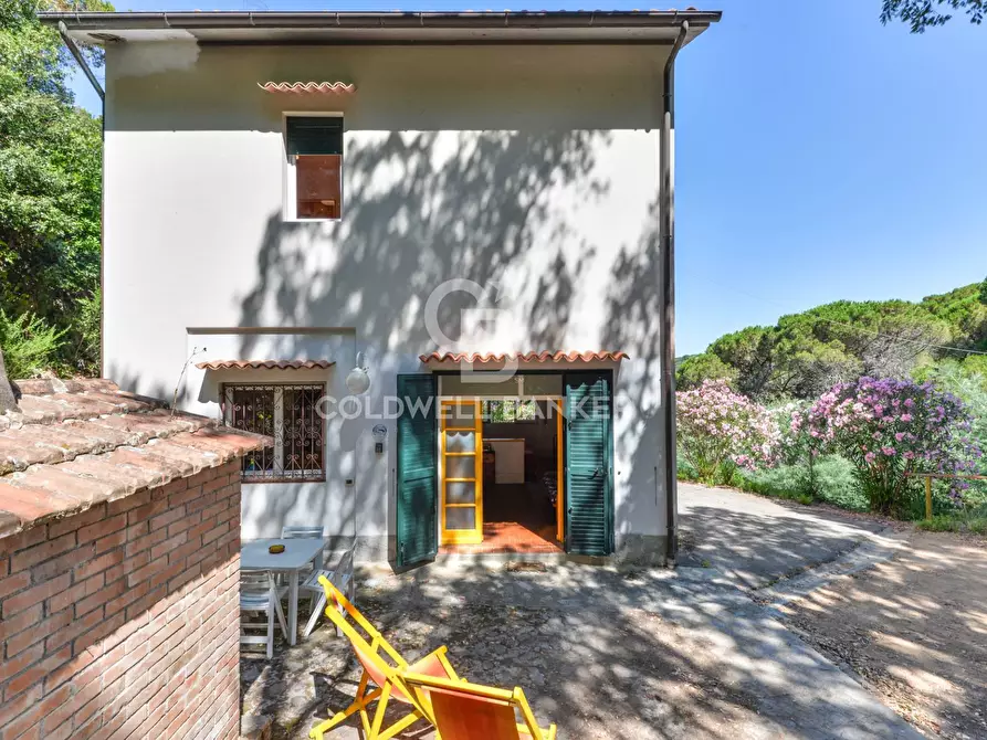 Immagine 6 di Villa in vendita  in Via della Cicala a Marciana