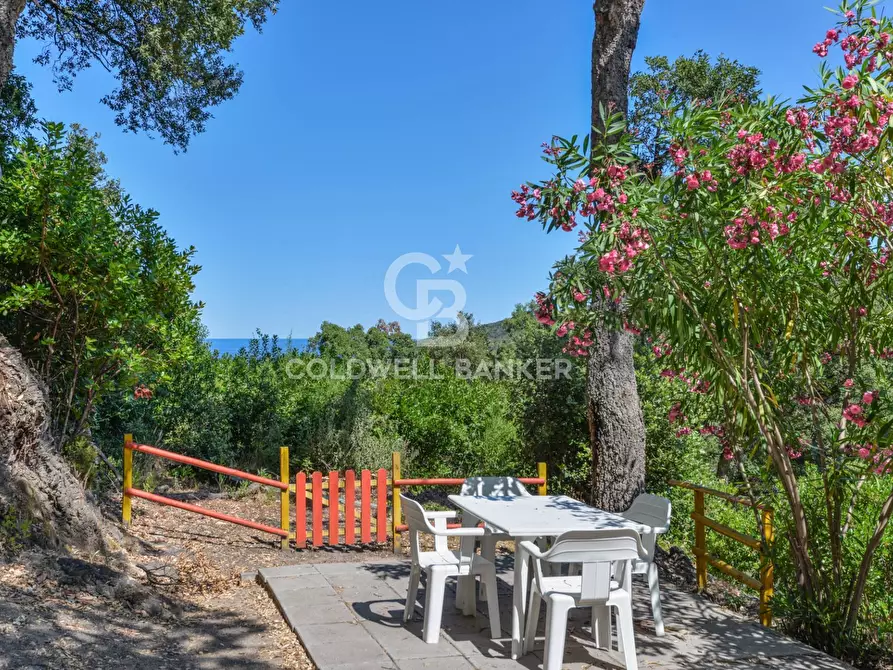 Immagine 22 di Villa in vendita  in Via della Cicala a Marciana