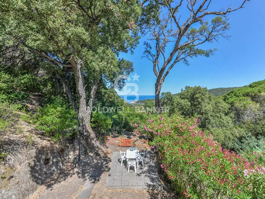 Immagine 3 di Villa in vendita  in Via della Cicala a Marciana