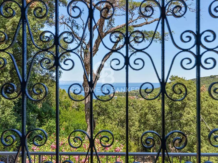 Immagine 5 di Villa in vendita  in Via della Cicala a Marciana