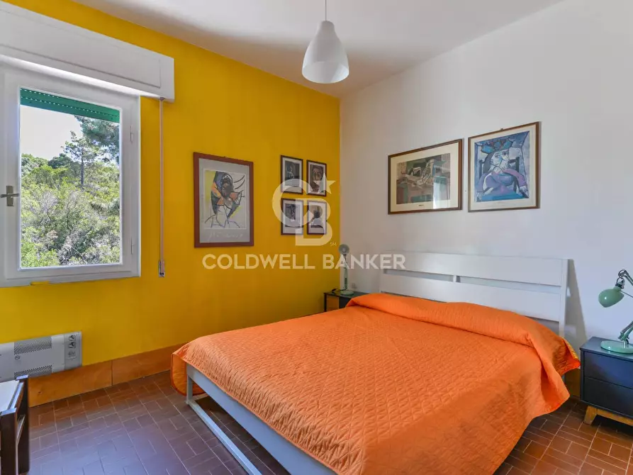 Immagine 26 di Villa in vendita  in Via della Cicala a Marciana