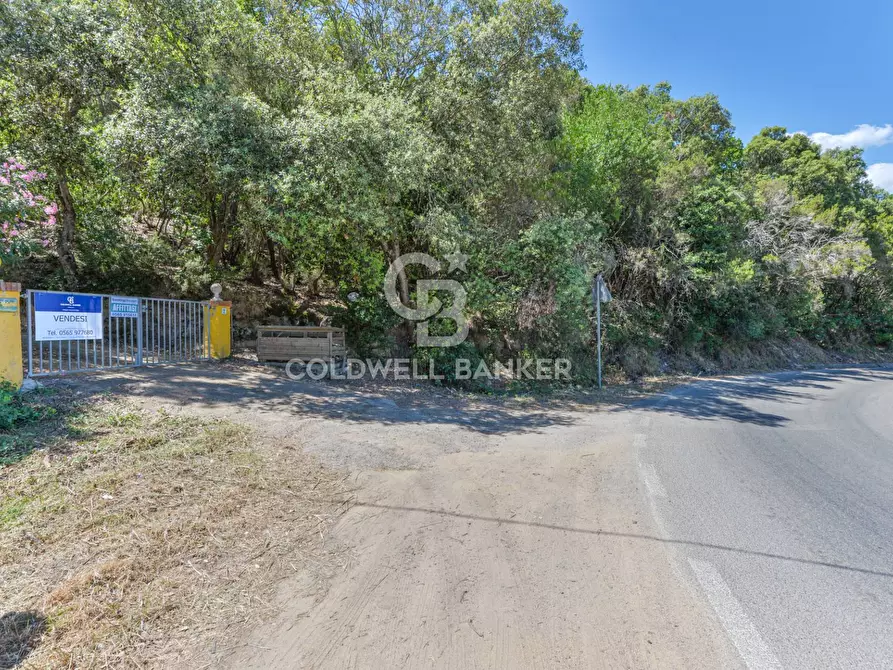 Immagine 34 di Villa in vendita  in Via della Cicala a Marciana