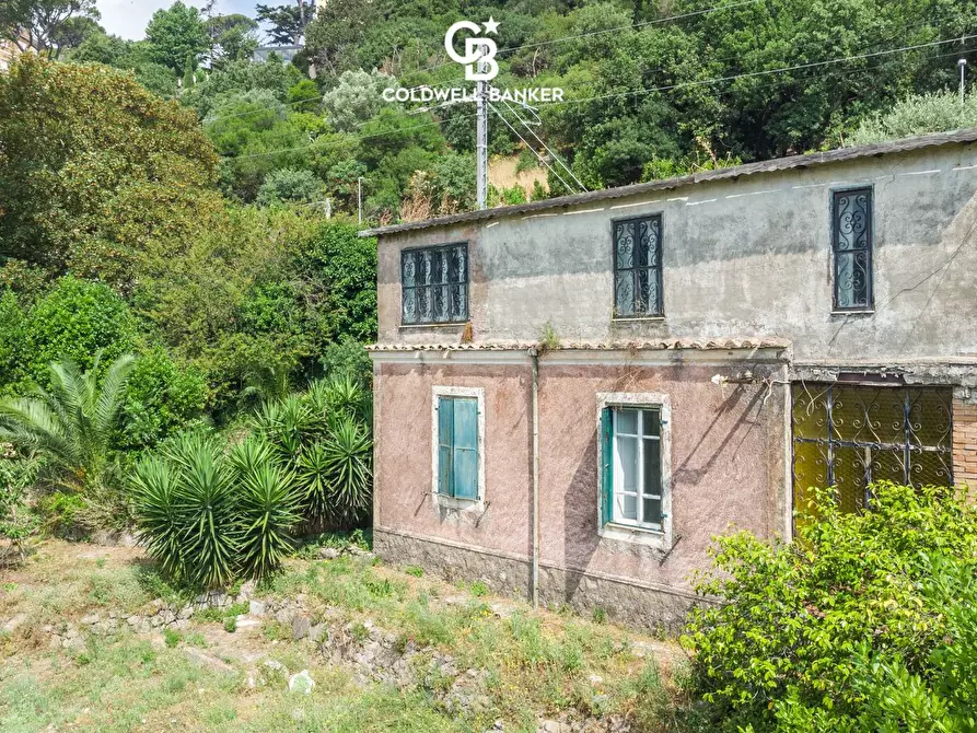 Immagine 4 di Villa in vendita  in Via Piano del Lago 7 a Castel Gandolfo