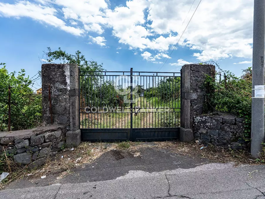 Immagine 2 di Terreno agricolo in vendita  in Via Ungaretti 7 a Giarre