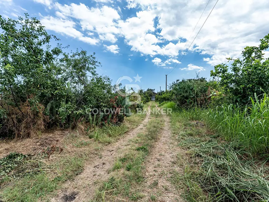 Immagine 3 di Terreno agricolo in vendita  in Via Ungaretti 7 a Giarre