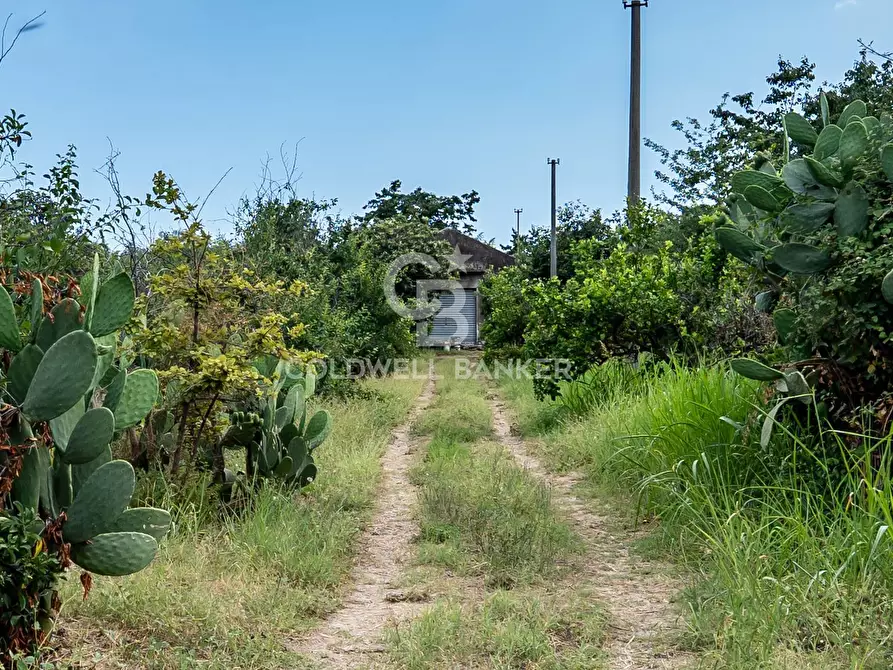 terreno agricolo in vendita a Giarre in zona Trepunti