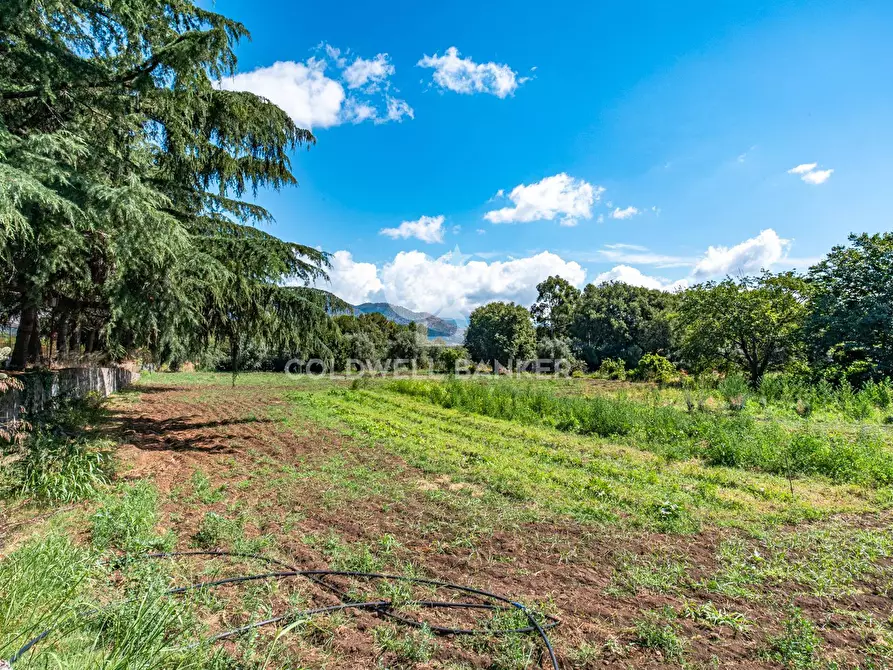 Immagine 72 di Villa in vendita  in Contrada Verzella a Castiglione Di Sicilia