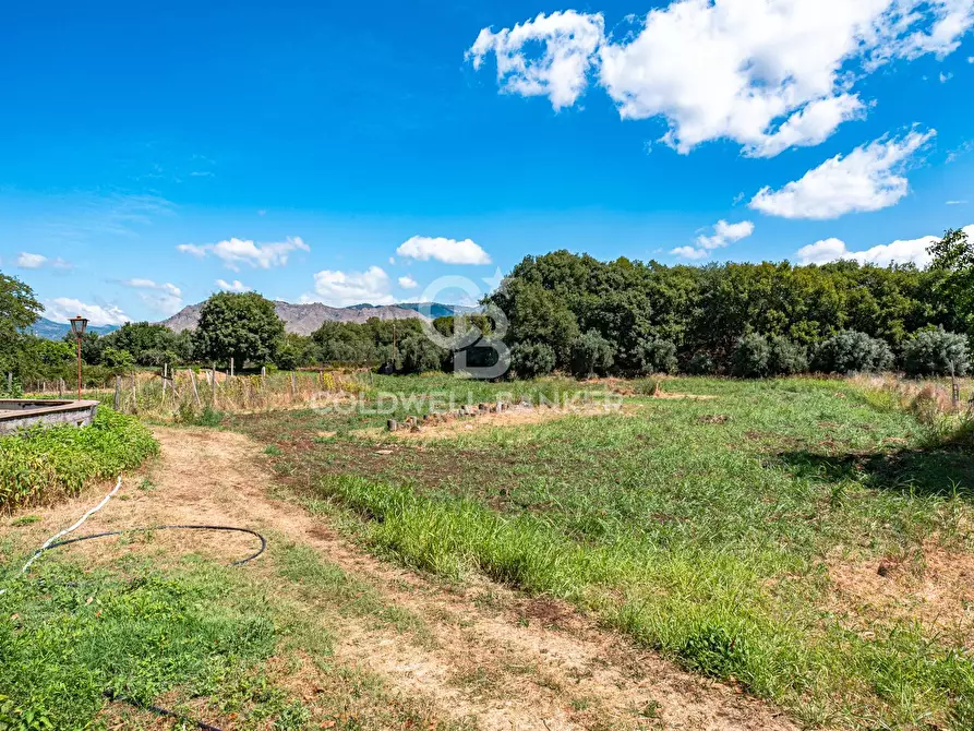 Immagine 88 di Villa in vendita  in Contrada Verzella a Castiglione Di Sicilia