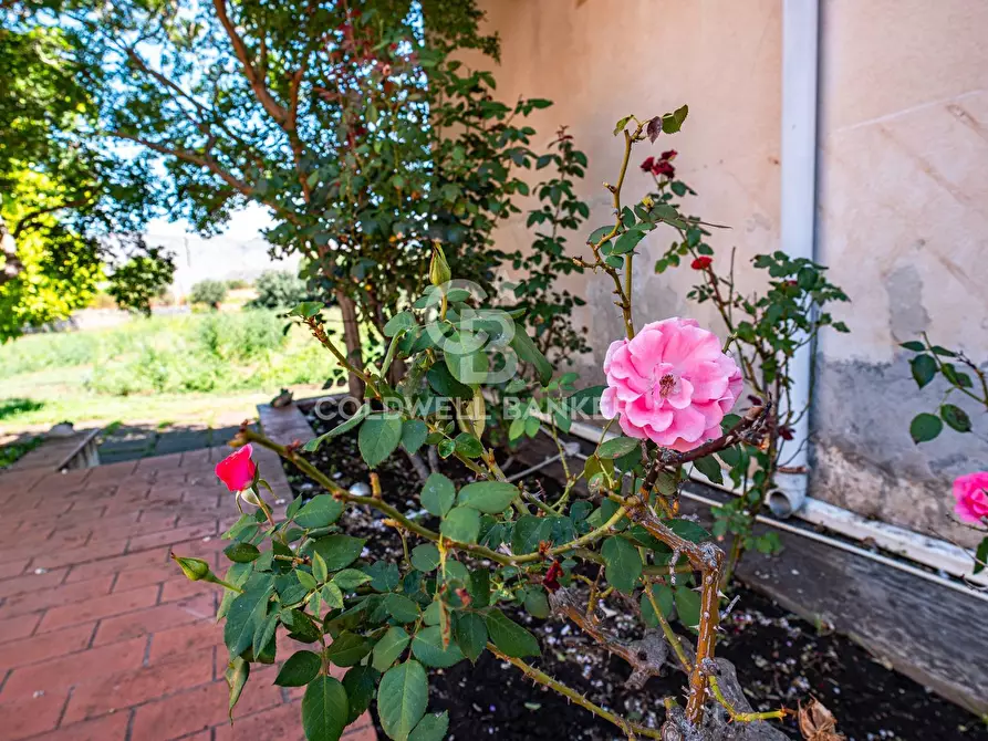 Immagine 23 di Villa in vendita  in Contrada Verzella a Castiglione Di Sicilia