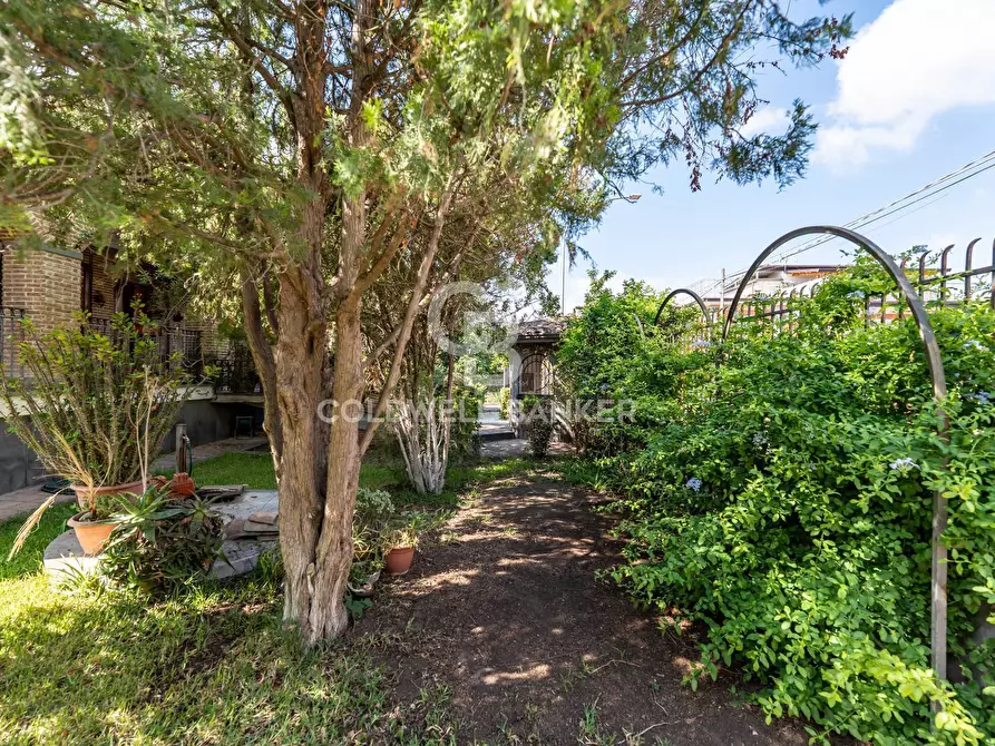 Immagine 29 di Villa in vendita  in via Scarlatti 30 a Motta Sant'anastasia