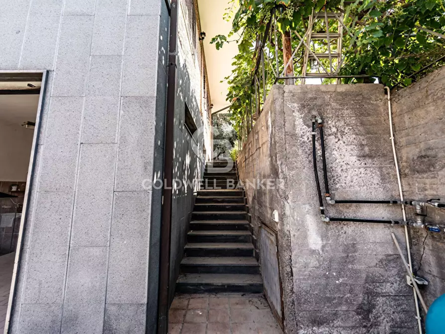 Immagine 43 di Villa in vendita  in via Scarlatti 30 a Motta Sant'anastasia