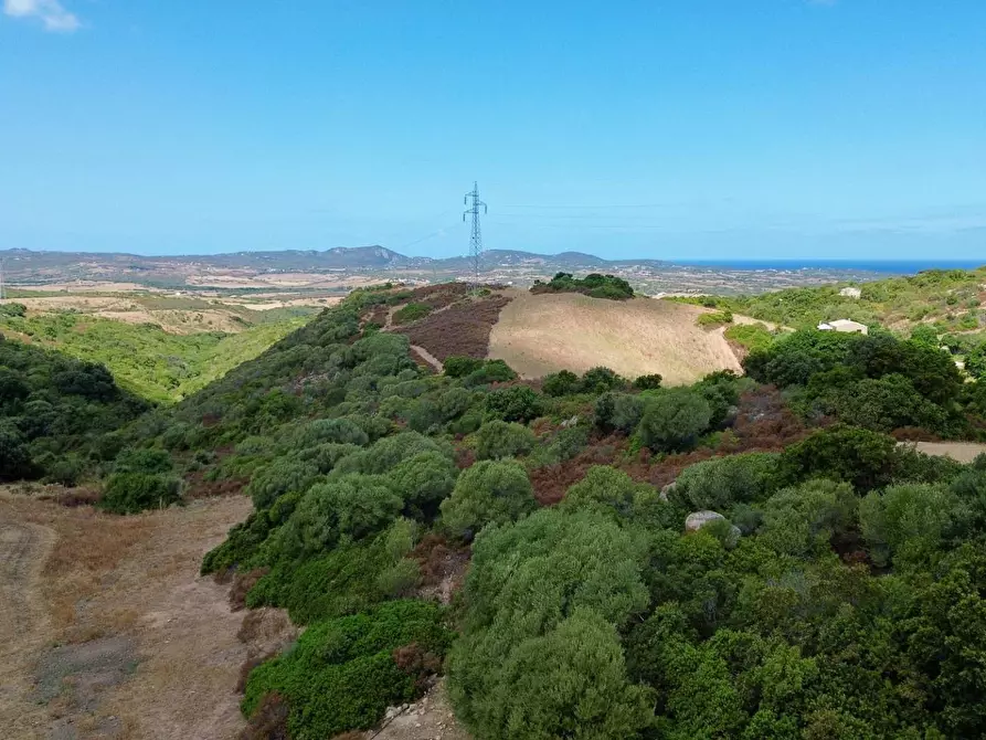 Immagine 4 di Villa in vendita  in Stazzo Agliacana 374 a Aggius