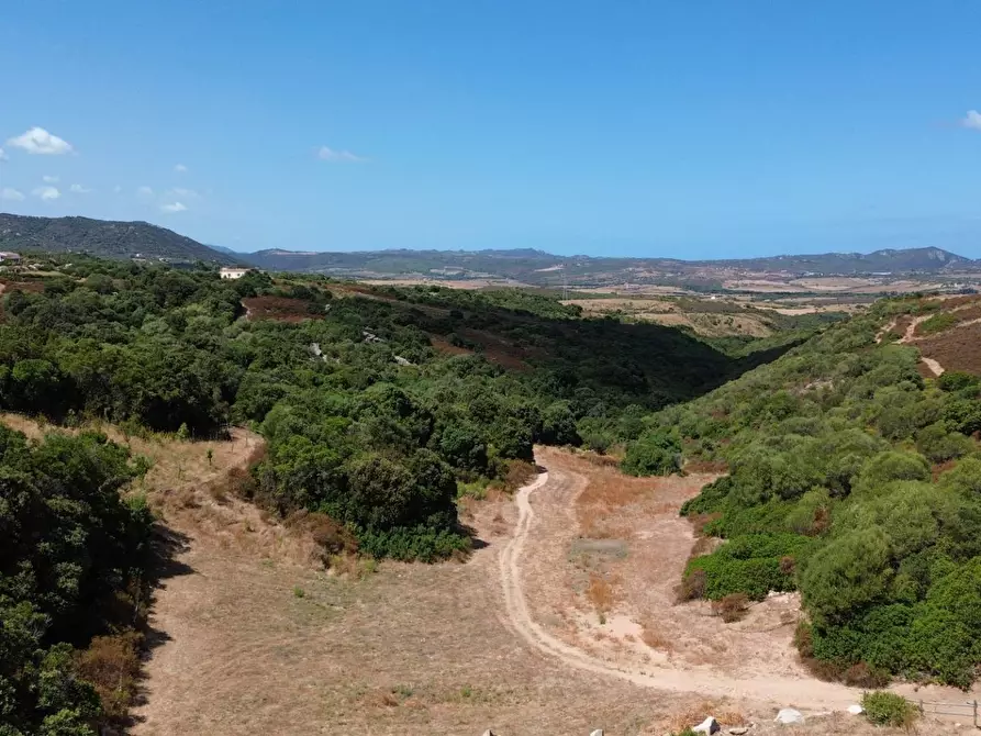 Immagine 14 di Villa in vendita  in Stazzo Agliacana 374 a Aggius