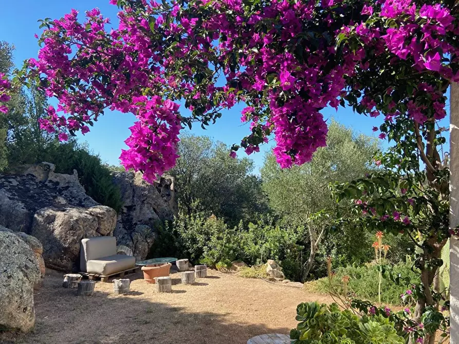 Immagine 24 di Villa in vendita  in SAN PANTALEO - VIA STAZZI VADDI LONGA a Olbia