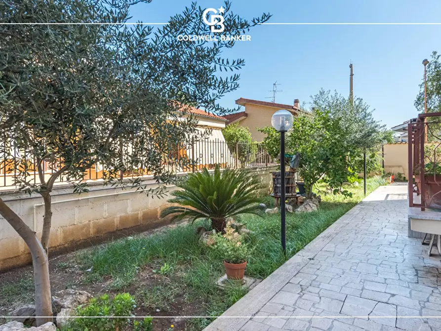 Immagine 25 di Attico in vendita  in Via Francesco Vella 6 a Ciampino