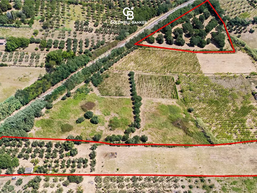 Immagine 1 di Terreno agricolo in vendita  in Via Delle Selve a Lanuvio