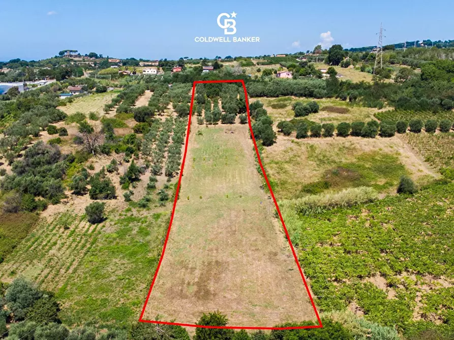 Immagine 2 di Terreno agricolo in vendita  in Via Delle Selve a Lanuvio