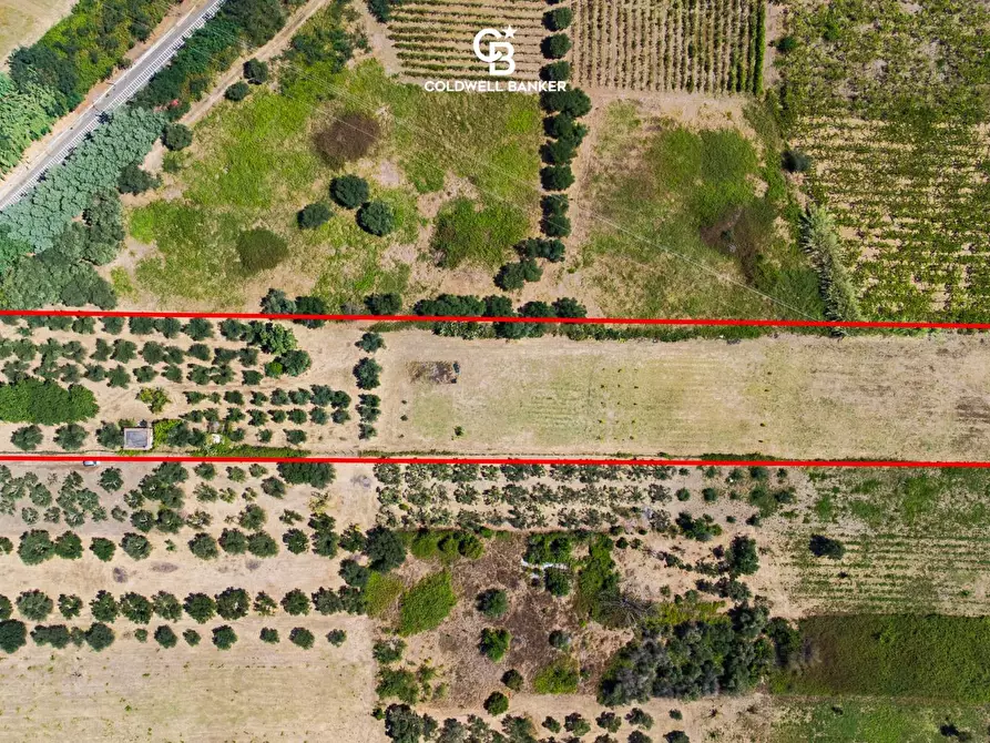 Immagine 3 di Terreno agricolo in vendita  in Via Delle Selve a Lanuvio