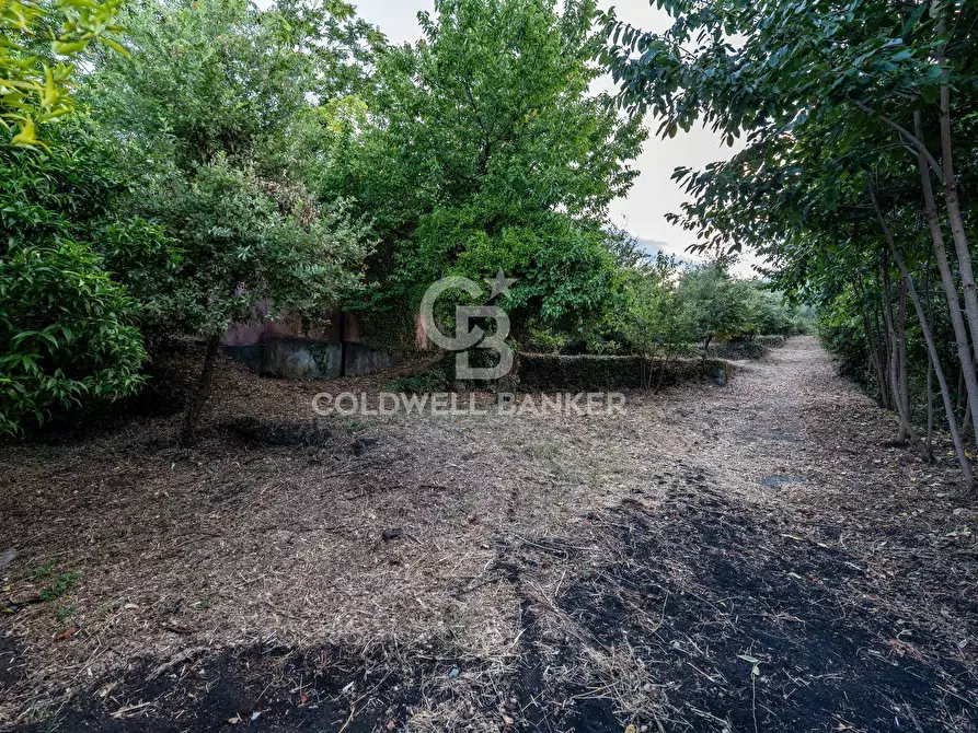 Immagine 4 di Rustico / casale in vendita  in Via Bellavista    C.da Miscariello snc a Giarre