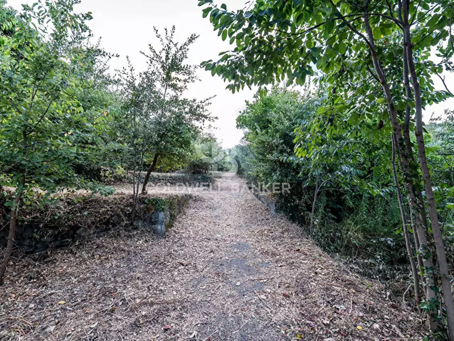 Immagine 5 di Rustico / casale in vendita  in Via Bellavista    C.da Miscariello snc a Giarre