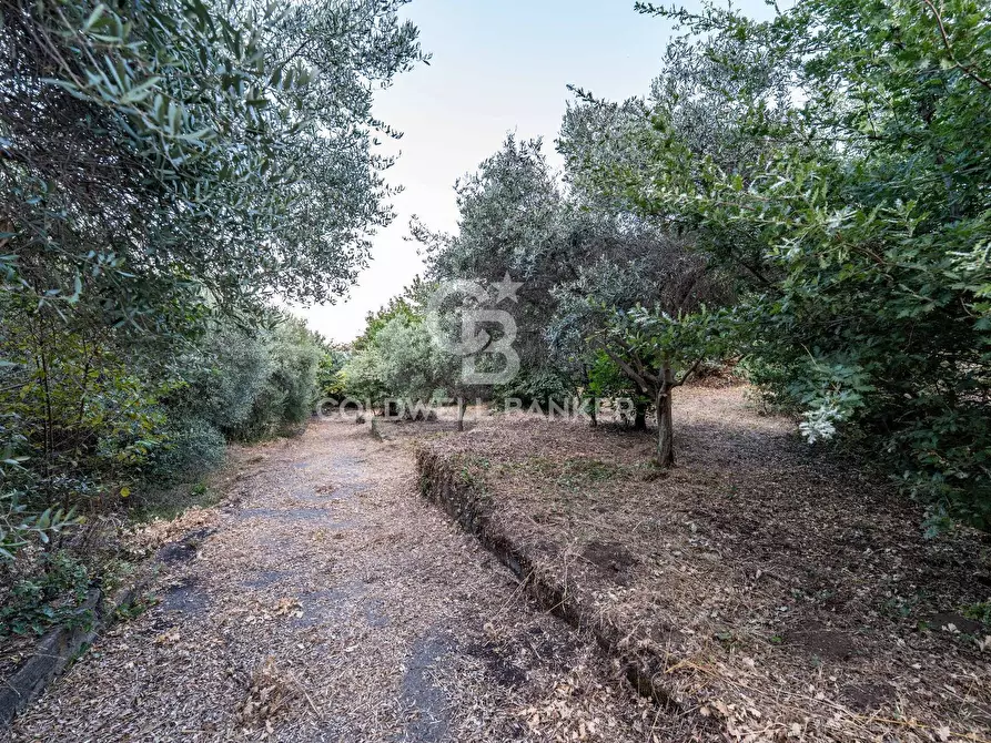 Immagine 6 di Rustico / casale in vendita  in Via Bellavista    C.da Miscariello snc a Giarre