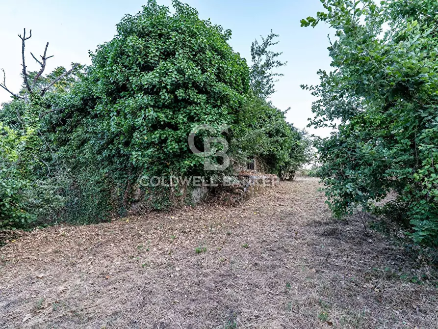 Immagine 7 di Rustico / casale in vendita  in Via Bellavista    C.da Miscariello snc a Giarre