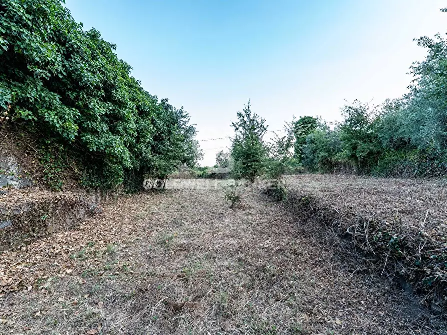 Immagine 1 di Rustico / casale in vendita  in Via Bellavista    C.da Miscariello snc a Giarre
