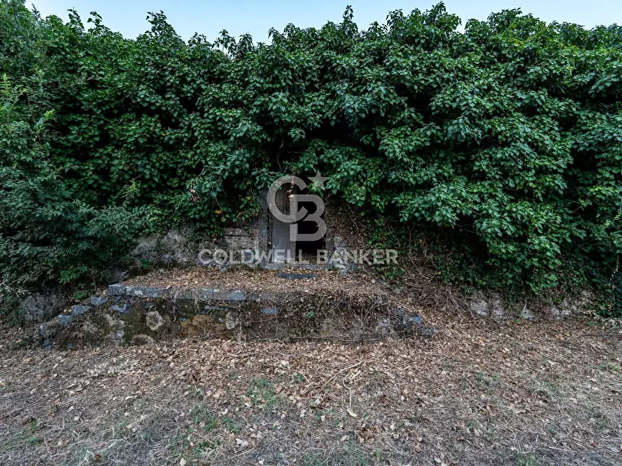 Immagine 8 di Rustico / casale in vendita  in Via Bellavista    C.da Miscariello snc a Giarre