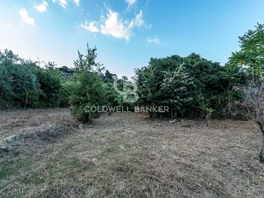 Immagine 9 di Rustico / casale in vendita  in Via Bellavista    C.da Miscariello snc a Giarre