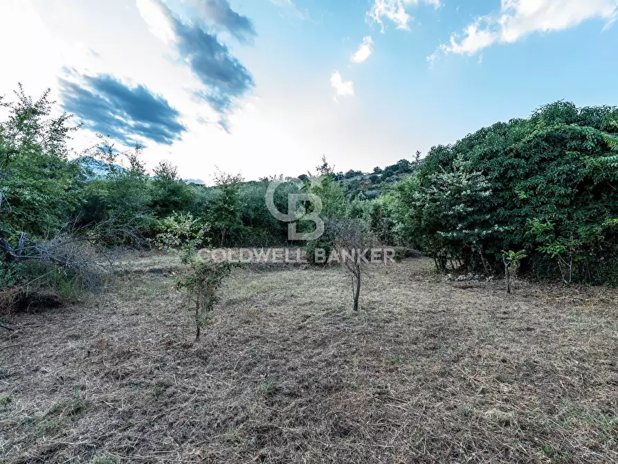 Immagine 10 di Rustico / casale in vendita  in Via Bellavista    C.da Miscariello snc a Giarre