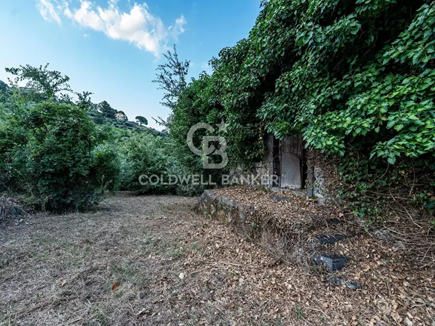 Immagine 2 di Rustico / casale in vendita  in Via Bellavista    C.da Miscariello snc a Giarre