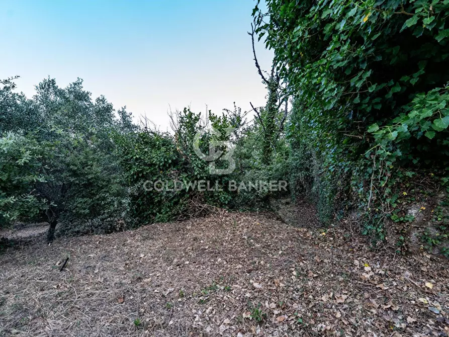 Immagine 3 di Rustico / casale in vendita  in Via Bellavista    C.da Miscariello snc a Giarre