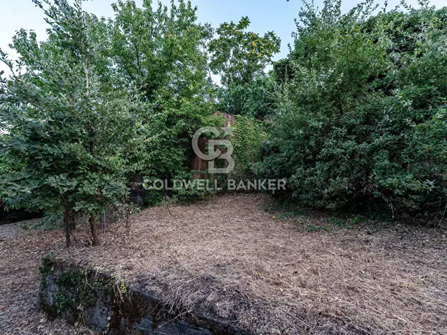 Immagine 12 di Rustico / casale in vendita  in Via Bellavista    C.da Miscariello snc a Giarre