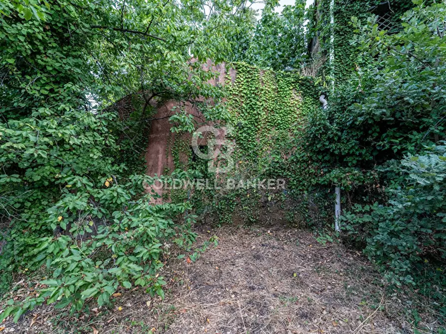 Immagine 13 di Rustico / casale in vendita  in Via Bellavista    C.da Miscariello snc a Giarre