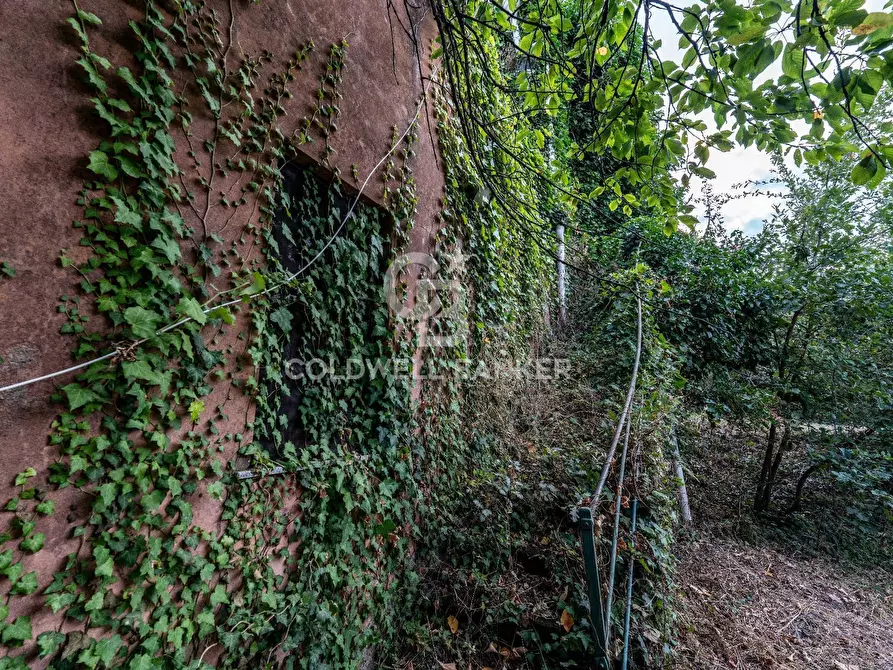 Immagine 14 di Rustico / casale in vendita  in Via Bellavista    C.da Miscariello snc a Giarre