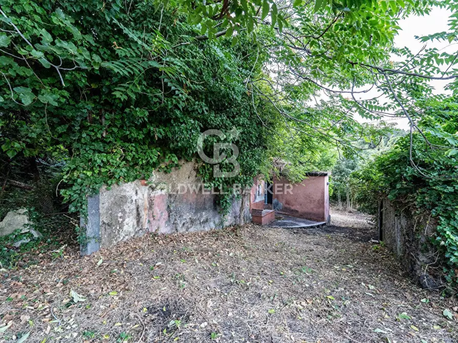 Immagine 20 di Rustico / casale in vendita  in Via Bellavista    C.da Miscariello snc a Giarre