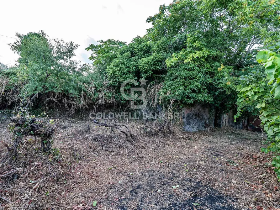 Immagine 21 di Rustico / casale in vendita  in Via Bellavista    C.da Miscariello snc a Giarre