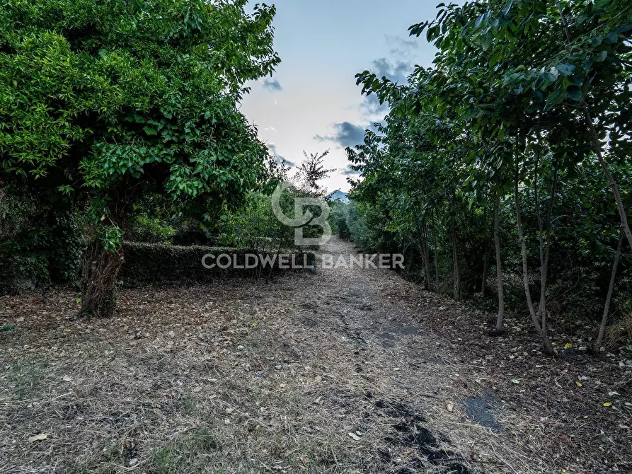 Immagine 25 di Rustico / casale in vendita  in Via Bellavista    C.da Miscariello snc a Giarre