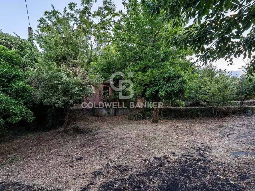 Immagine 26 di Rustico / casale in vendita  in Via Bellavista    C.da Miscariello snc a Giarre