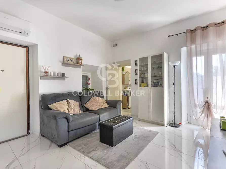 Immagine 4 di Appartamento in vendita  in Via San Martino a Campo Nell'elba