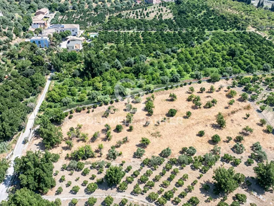 Immagine 2 di Terreno agricolo in vendita  in Via Francavilla snc a Taormina