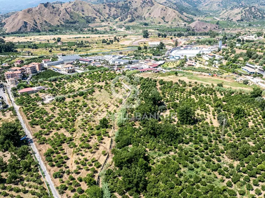 Immagine 3 di Terreno agricolo in vendita  in Via Francavilla snc a Taormina
