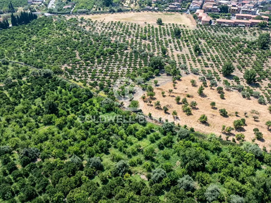 Immagine 4 di Terreno agricolo in vendita  in Via Francavilla snc a Taormina