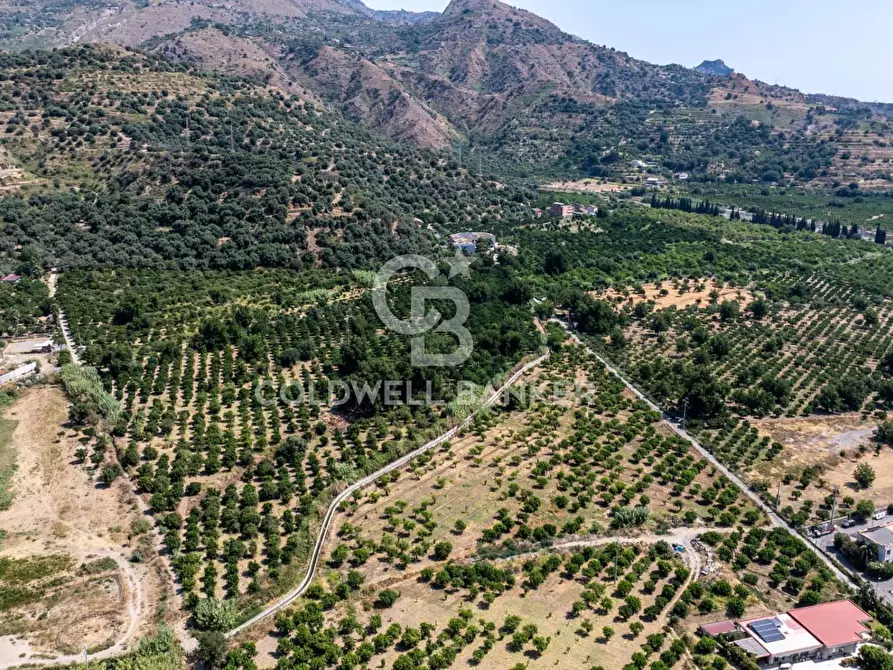 Immagine 5 di Terreno agricolo in vendita  in Via Francavilla snc a Taormina