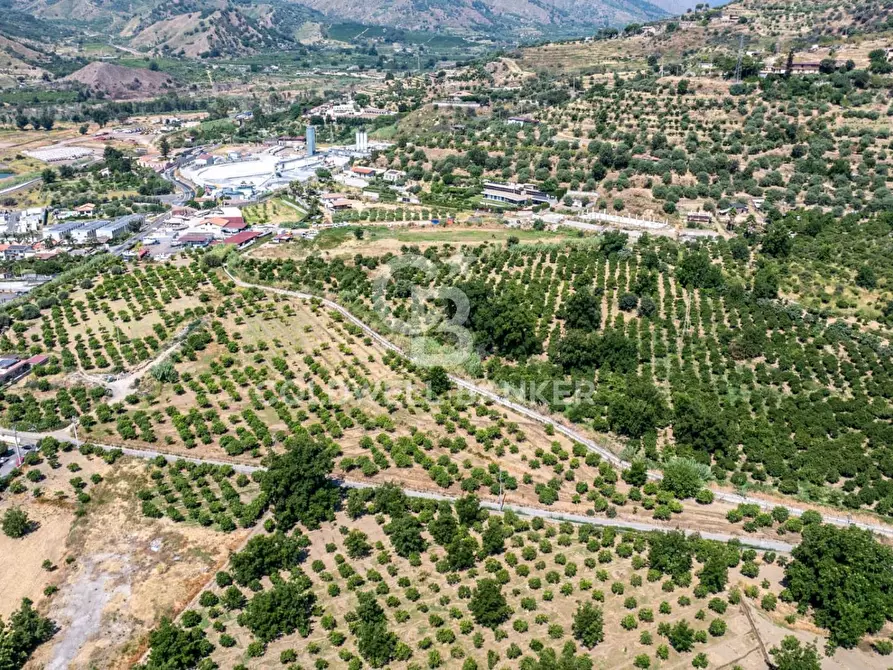 Immagine 6 di Terreno agricolo in vendita  in Via Francavilla snc a Taormina
